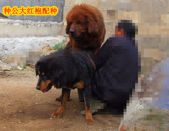 ����-����